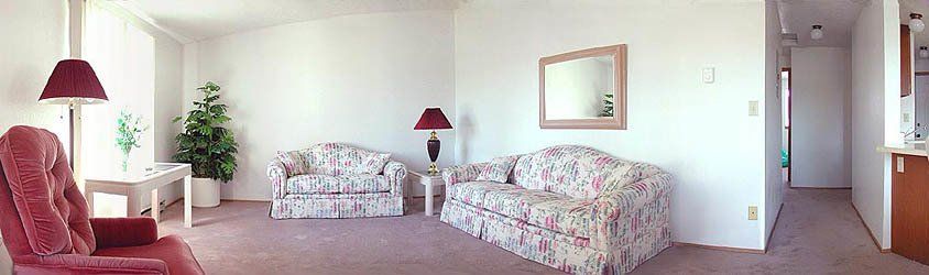 Cedar Park 856 sq ft Apartment