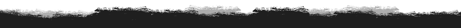Elegant black divider element for New York's best home chef website - Hamptons private chef and Long Island wine pairing dinner specialist personal chef South Fork design separator