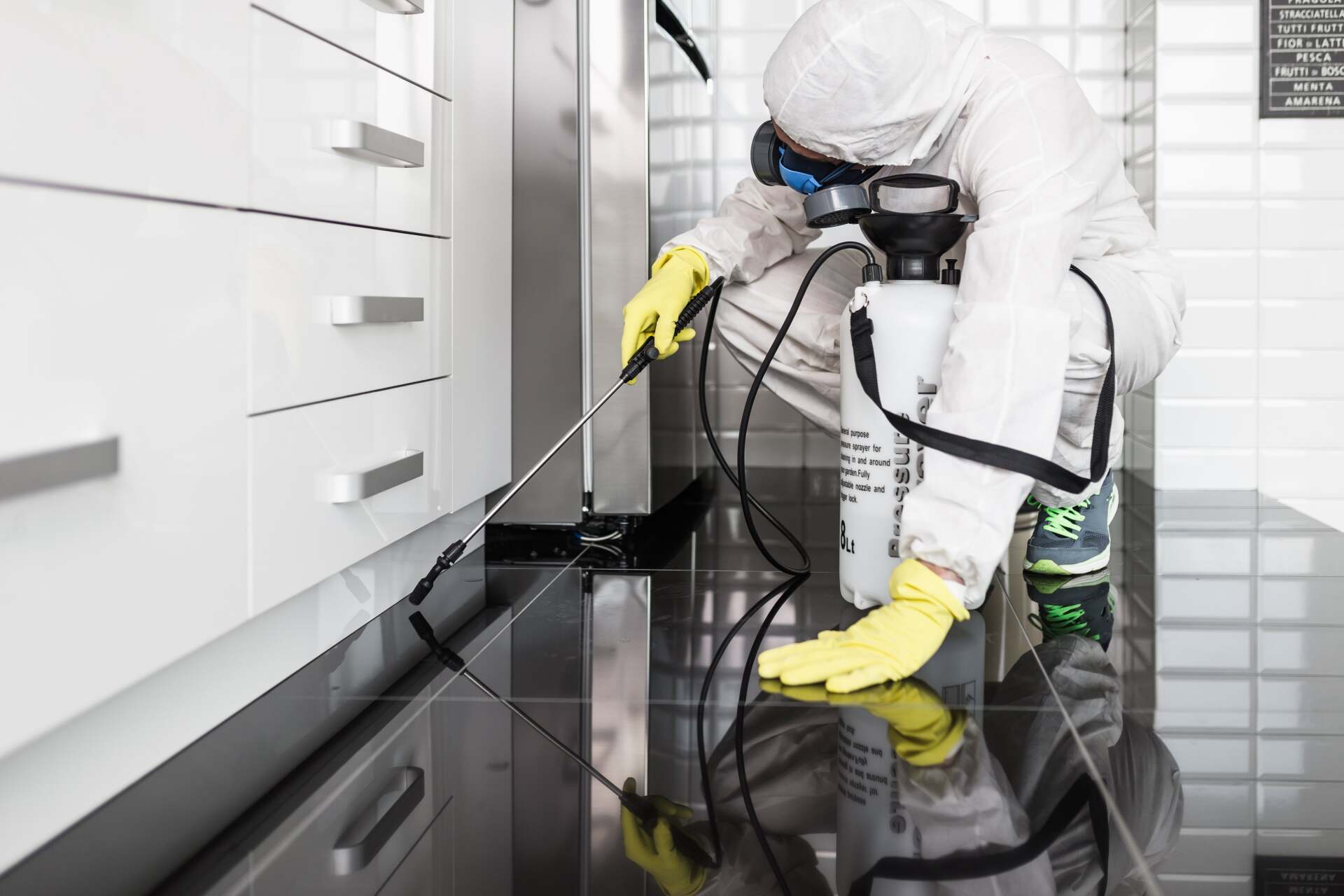 Exterminator In Hazmat Suit Spraying Pesticide- Pest Control in Mudgee NSW