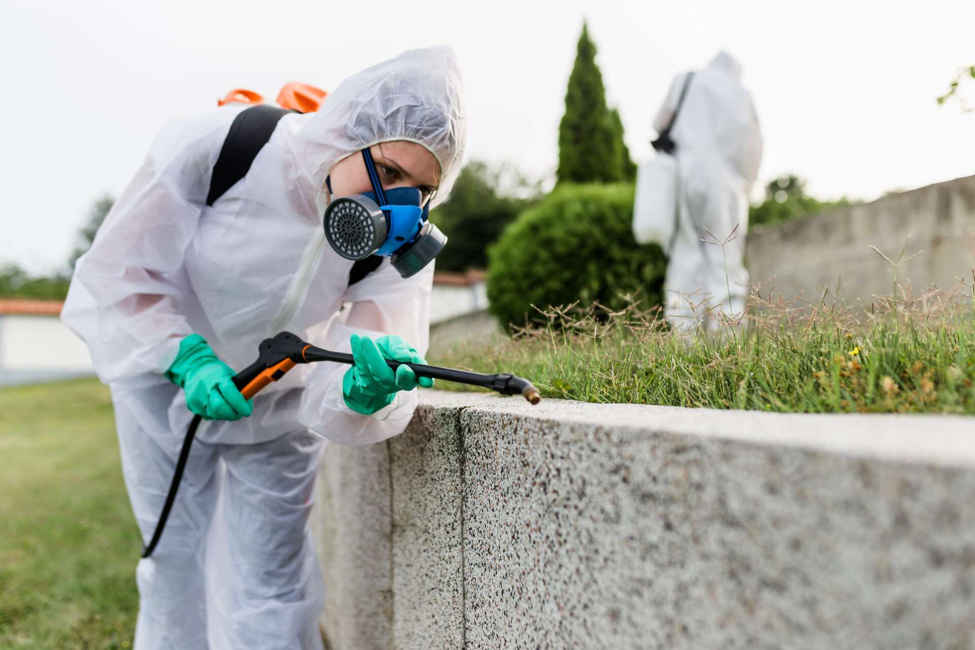 Exterminators Spraying Pesticide Outdoors - Pest Control in Mudgee NSW