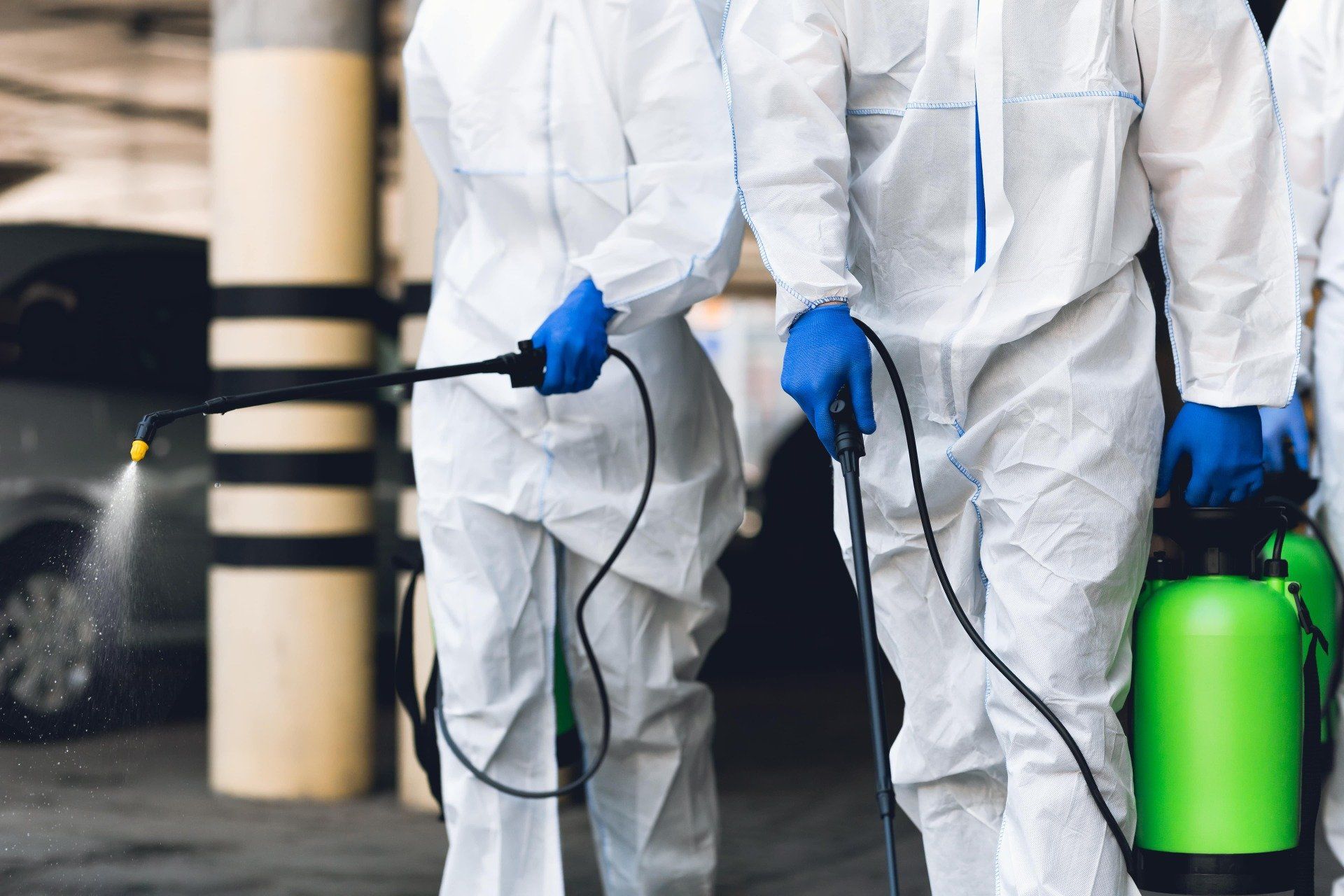 Exterminators Using Pesticide Spray - Pest Control in Mudgee NSW