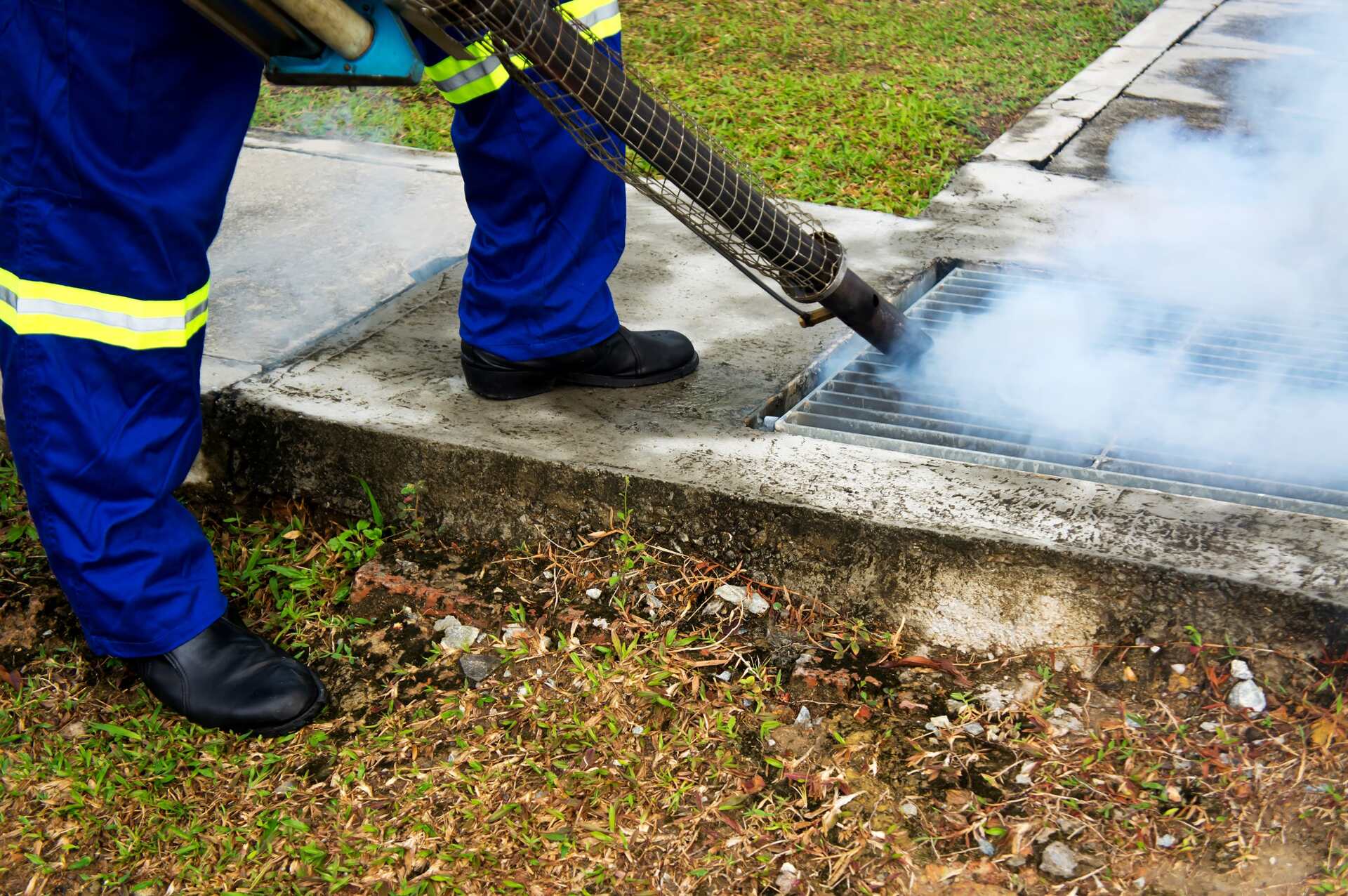 Fogging By The Public Health For Dengue Control - Pest Control in Mudgee NSW
