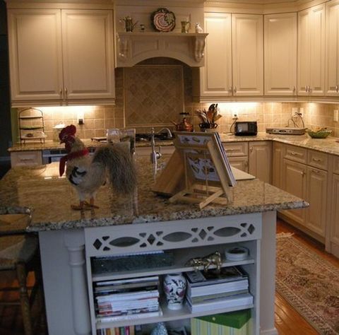 Building a House — Construction Services in Wayne, NJ Building a House — Construction Services in Wayne, NJ