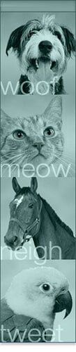 Animals, Rothman Animal Hospital, Collingswood, NJ