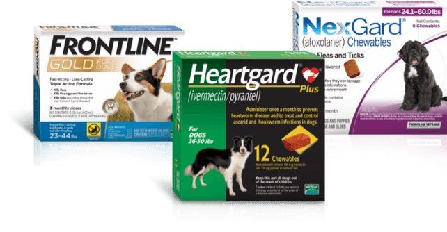 Tick and Flea Products — Collingswood, NJ — Rothman Animal Hospital