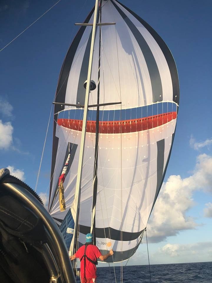 Feeling 486 sailing