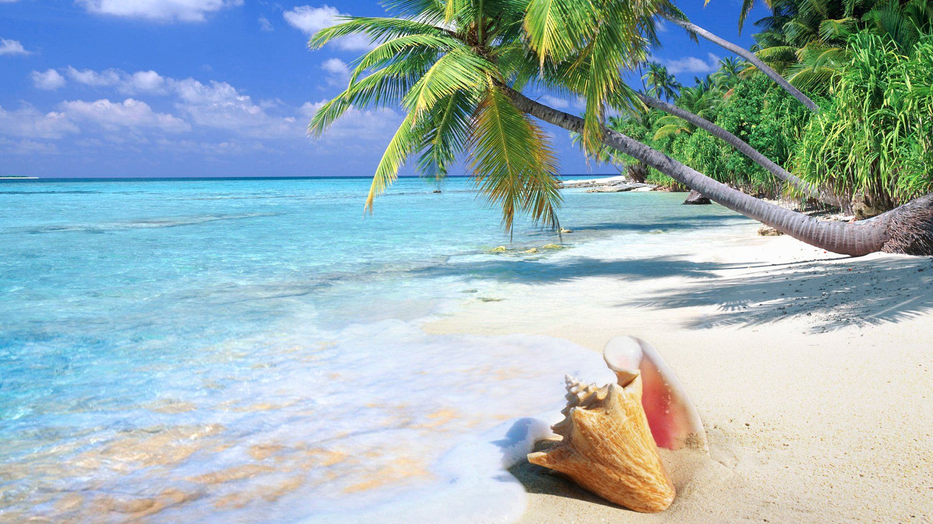 Tropical beach, Antigua 365 beaches