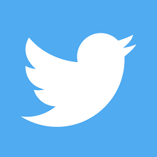 Twitter bird logo in white on a light blue background