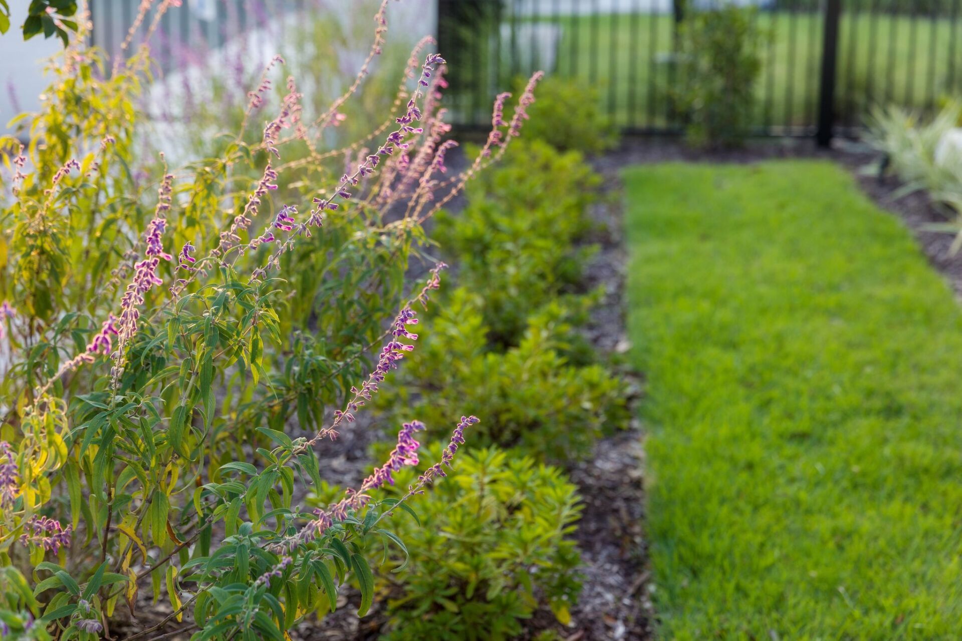 Why Live in Rouzan | Baton Rouge, LA