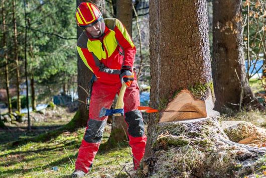 tree felling