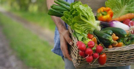 basket of vegetables