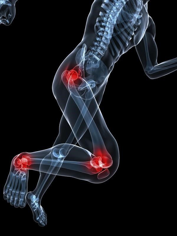 foot knee and hip on an xray graphic