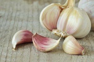 garlic