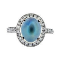 denish e.rings