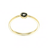 Steven Battelle - e.ring