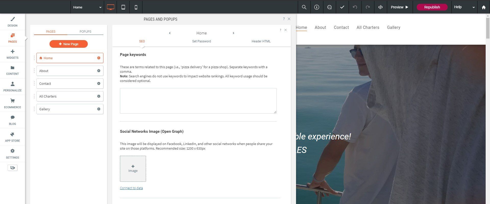 2nd SEO editing section of Apex Design website editor