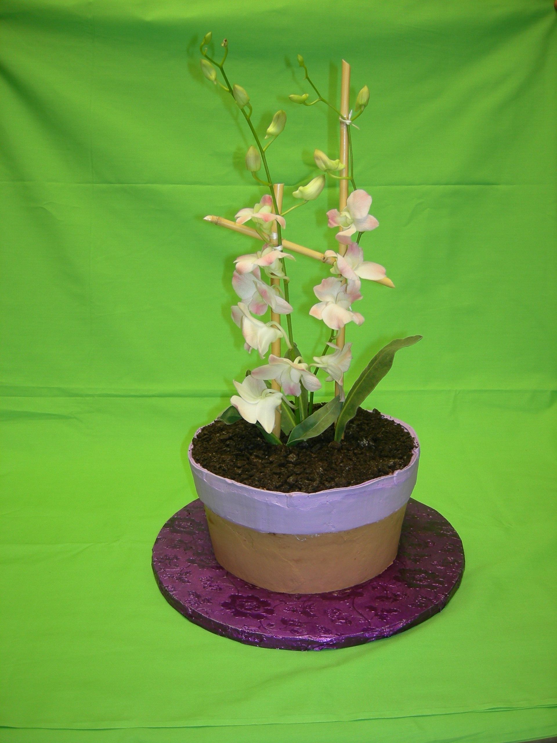 Custom Cake20