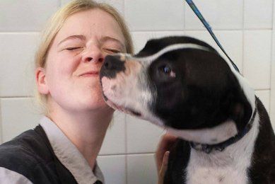 clare playing with a dog