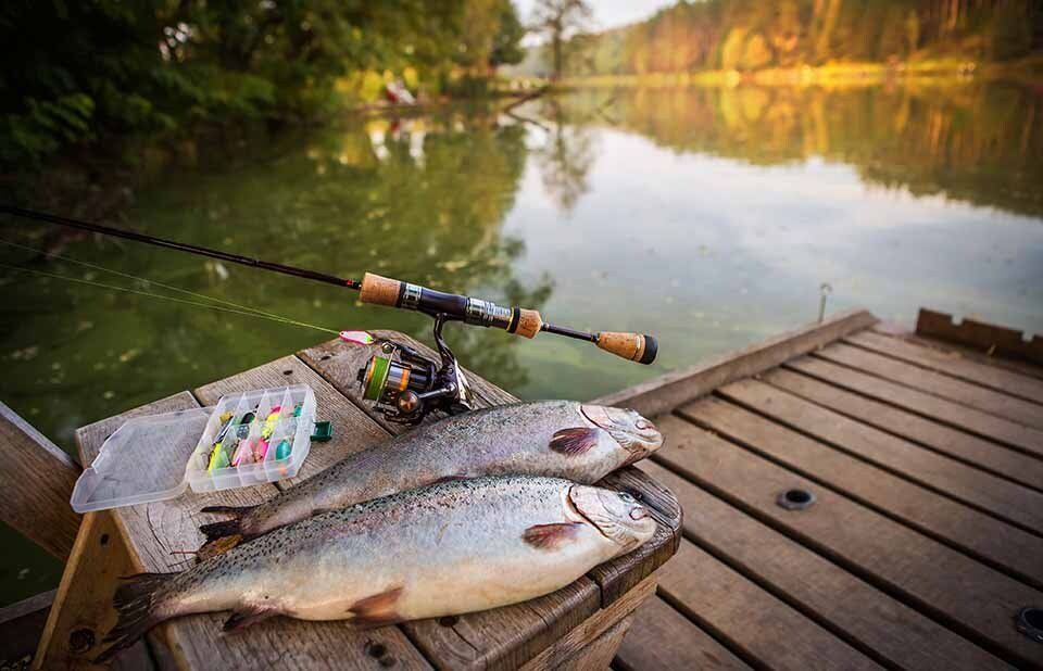 articoli per la pesca
