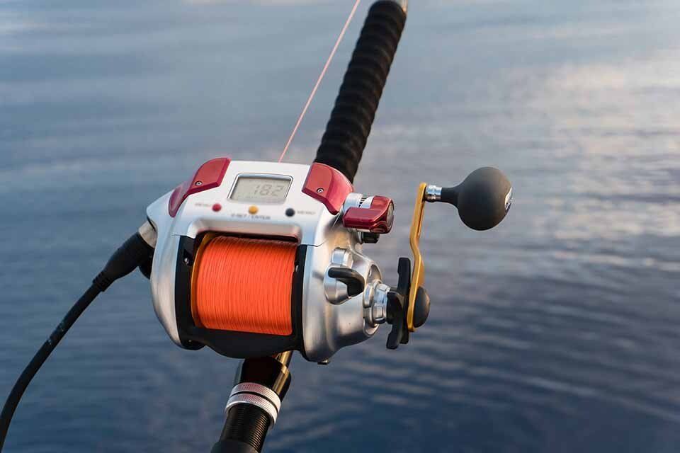 Canne da pesca