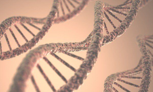 genes and tooth decay