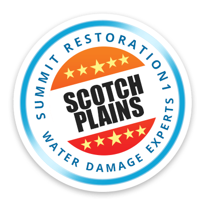Scotch Plains