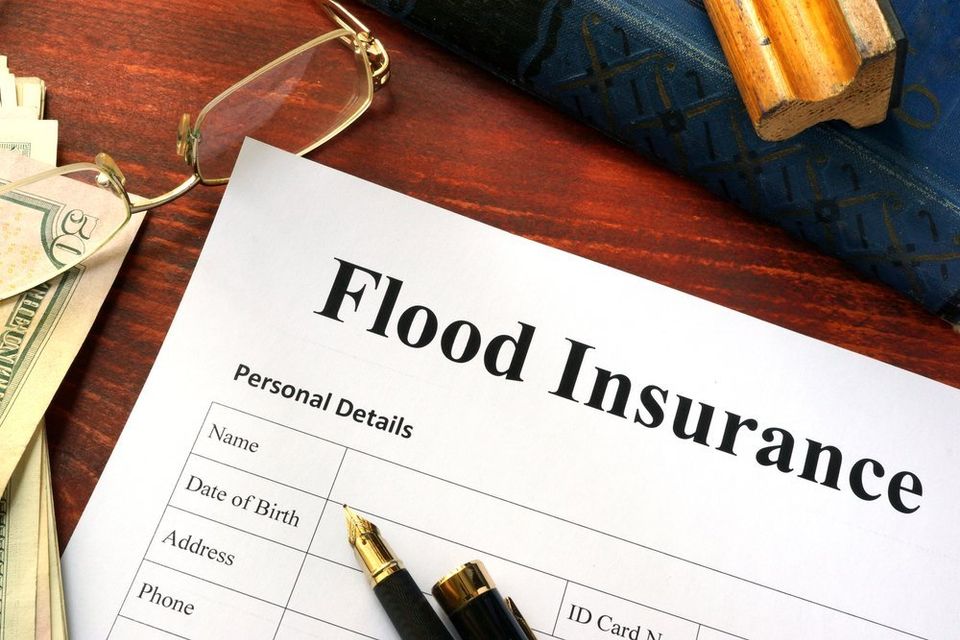 Black water damage may or may not be covered by your homeowners insurance policy. Let Restoration 1 of Summit County help you work with insurance for fair coverage. - Restoration 1 of Summit