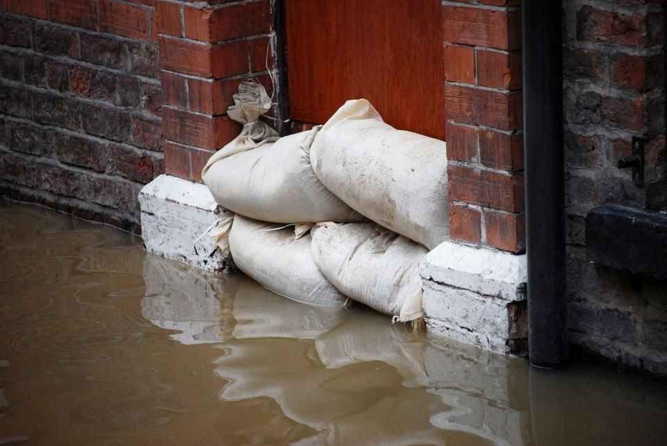 Prevent severe illness from black water damage by hiring a local restoration company. - Restoration 1 of Summit
