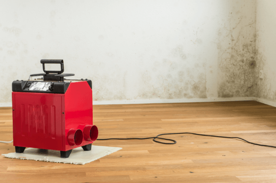 Mildew infestation in a home. Restoration 1 of Summit County, New Jersey.