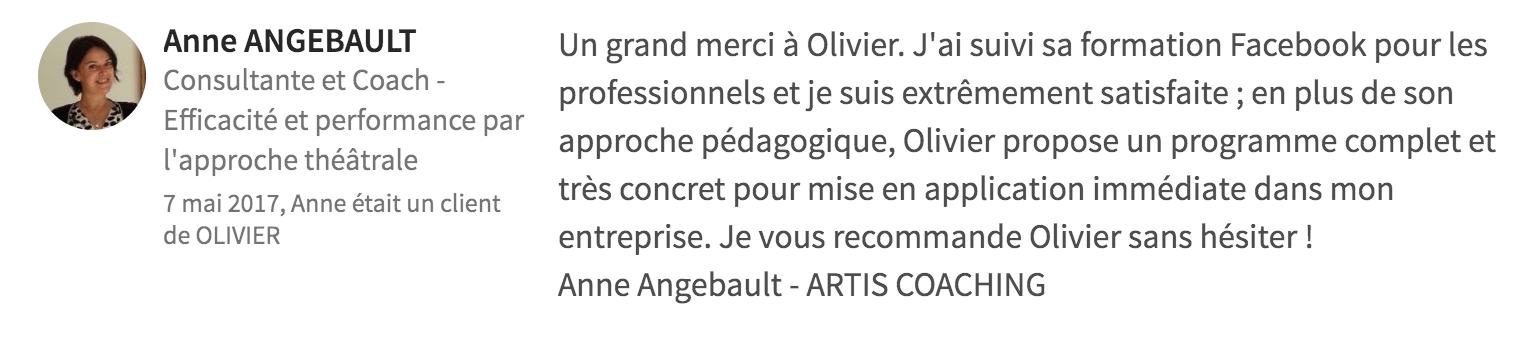 Portrait graphique d'Anne ABEJAWI avec un texte en français sur son parcours professionnel et son expertise