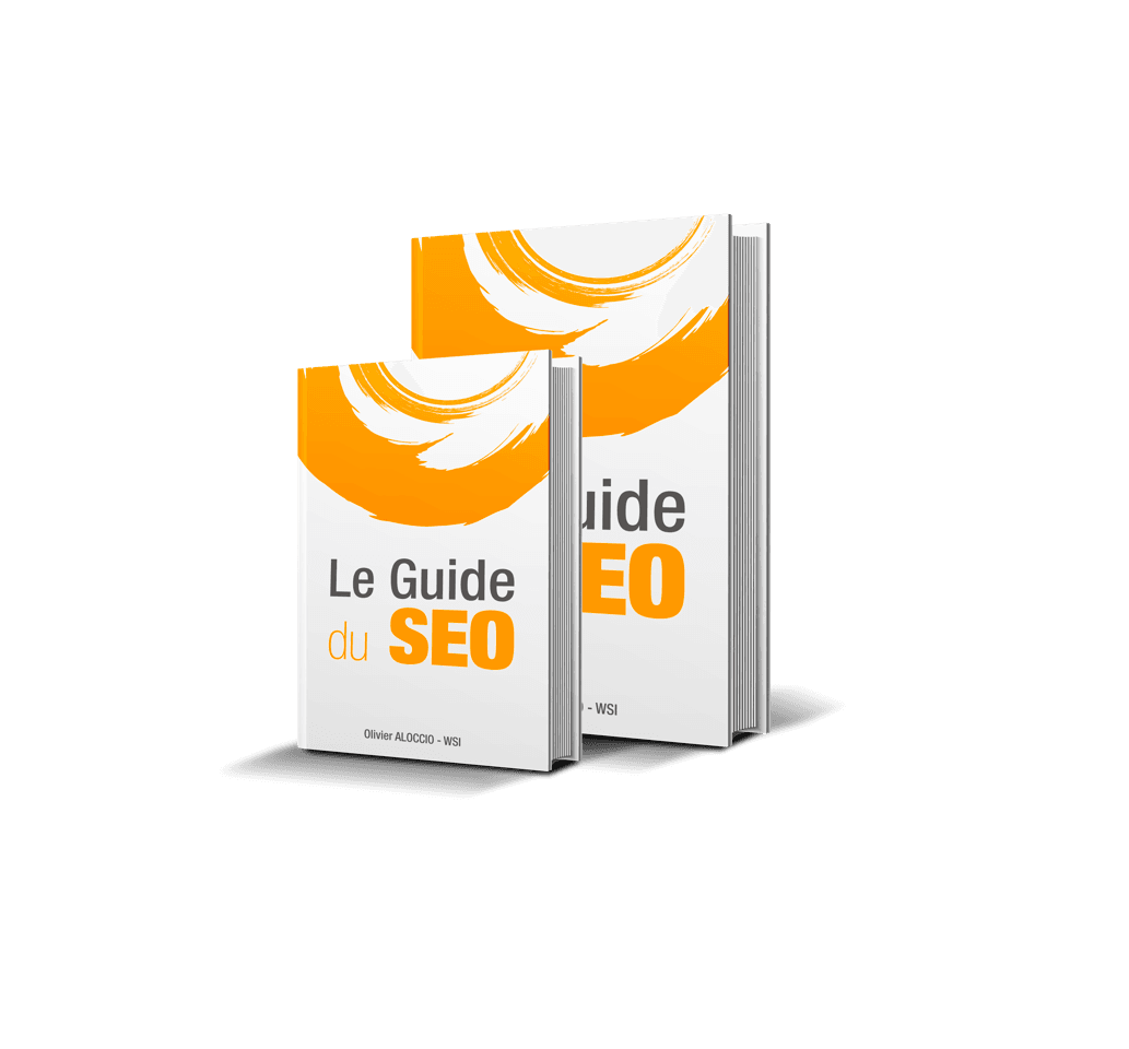 guide seo olivier aloccio
