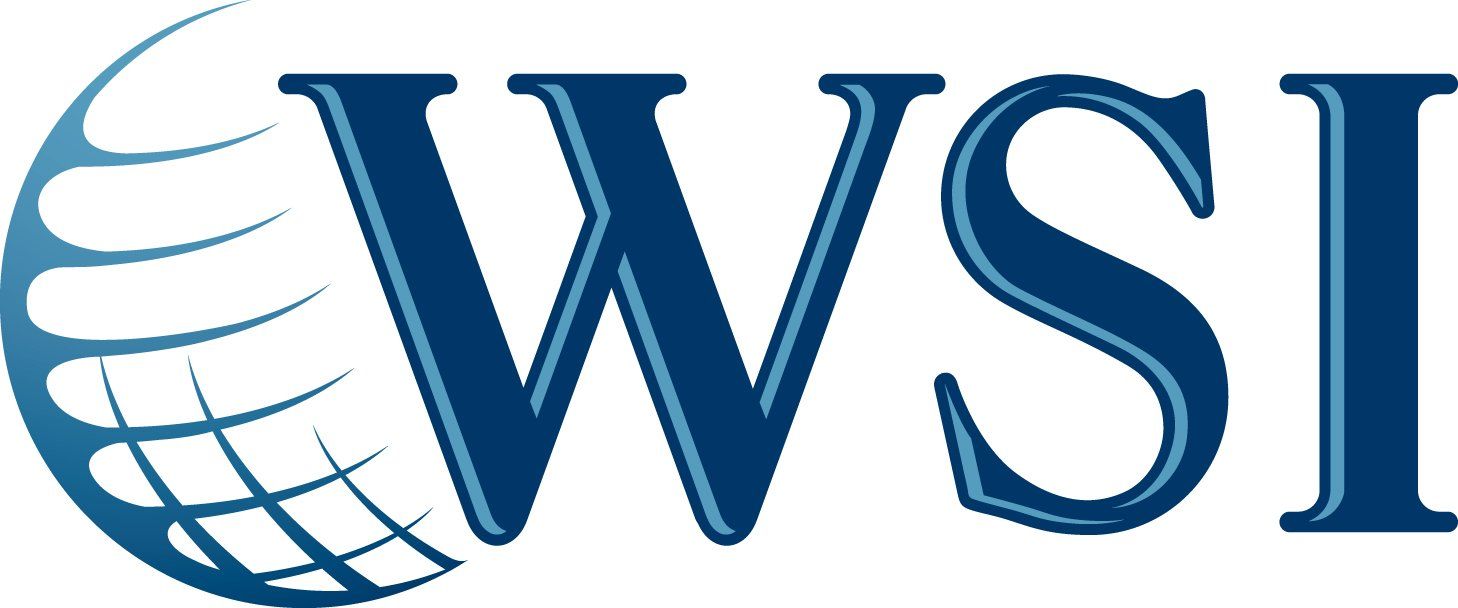 wsi marseille olivier aloccio