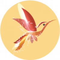 Colibri stylisé aux ailes rouges et dorées à l'intérieur d'un cercle jaune