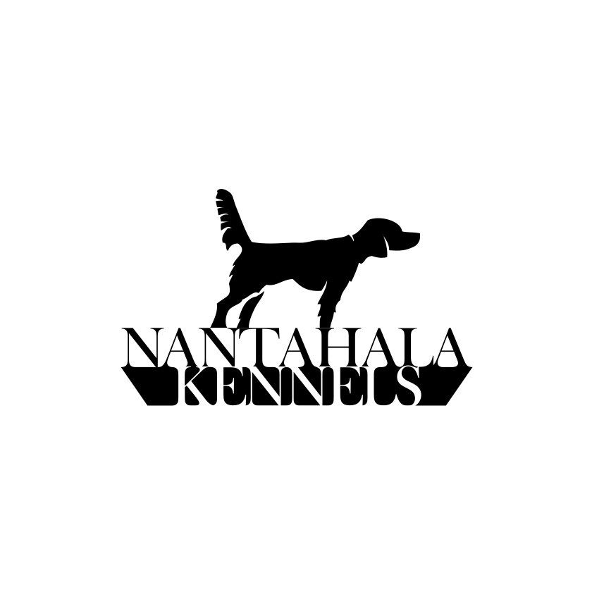 Black dog silhouette over the text