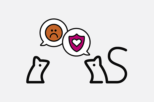 sensis logos talking about reviews