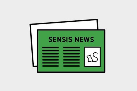 sensis news