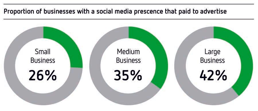 businesses who paid to advertise on social media infographic