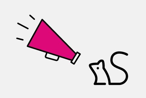 presentation icon