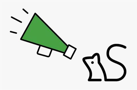 mouse with megaphone