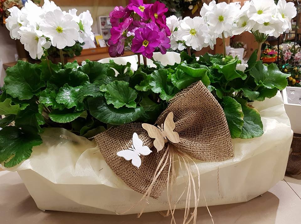 Centrotavola con piante in fiore e foglie