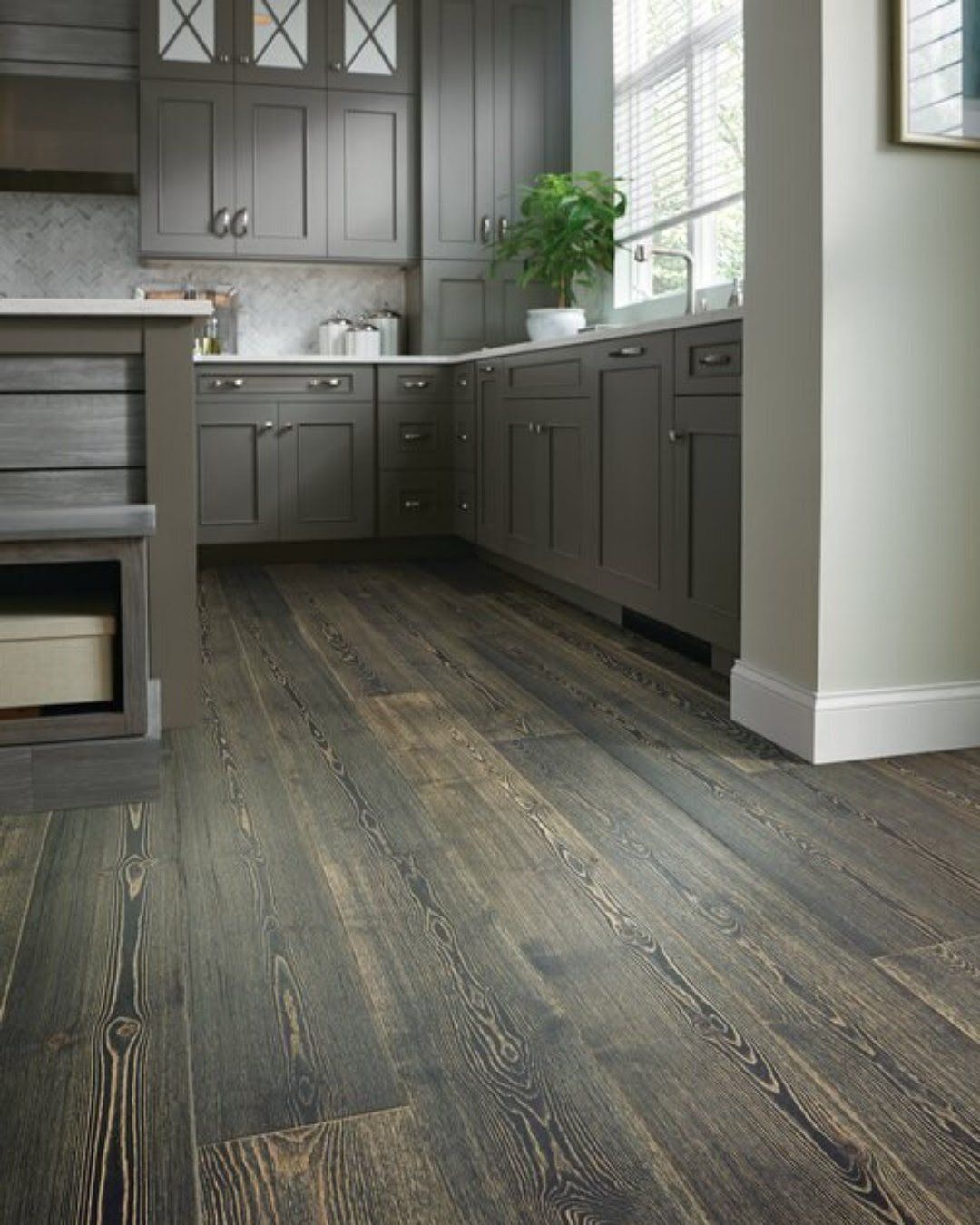 Modern kitchen with gray cabinets, dark wood floors, and a potted plant by the window.