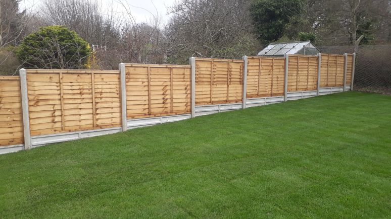 garden lawns lavish green grass