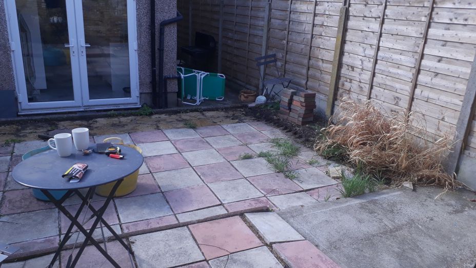 before small garden before small garden