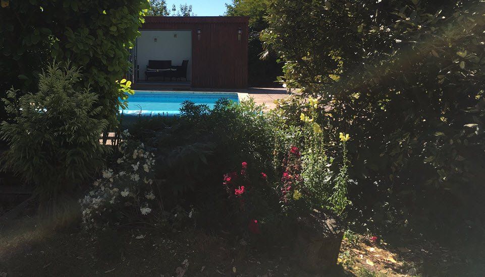 A swimming pool is surrounded by trees and bushes in front of a house.