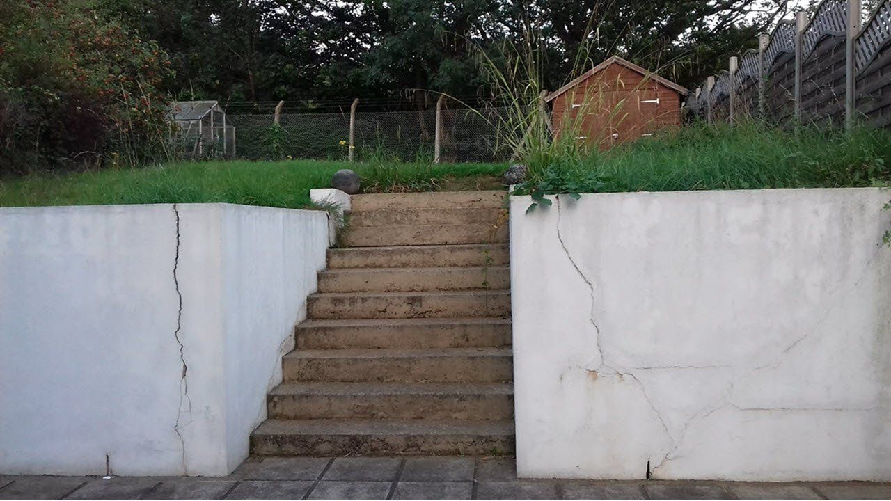 garden before design garden before design