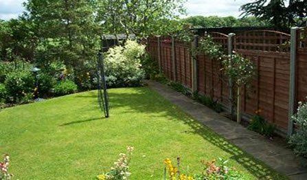 larch lap fencing & trellis install
