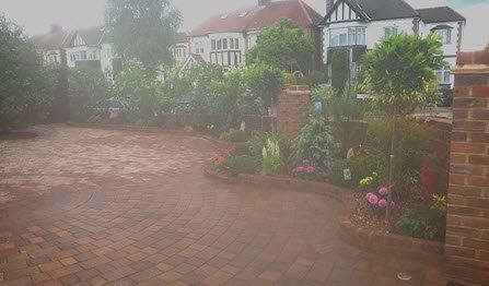 paving drive & landscape plants paving drive & landscape plants