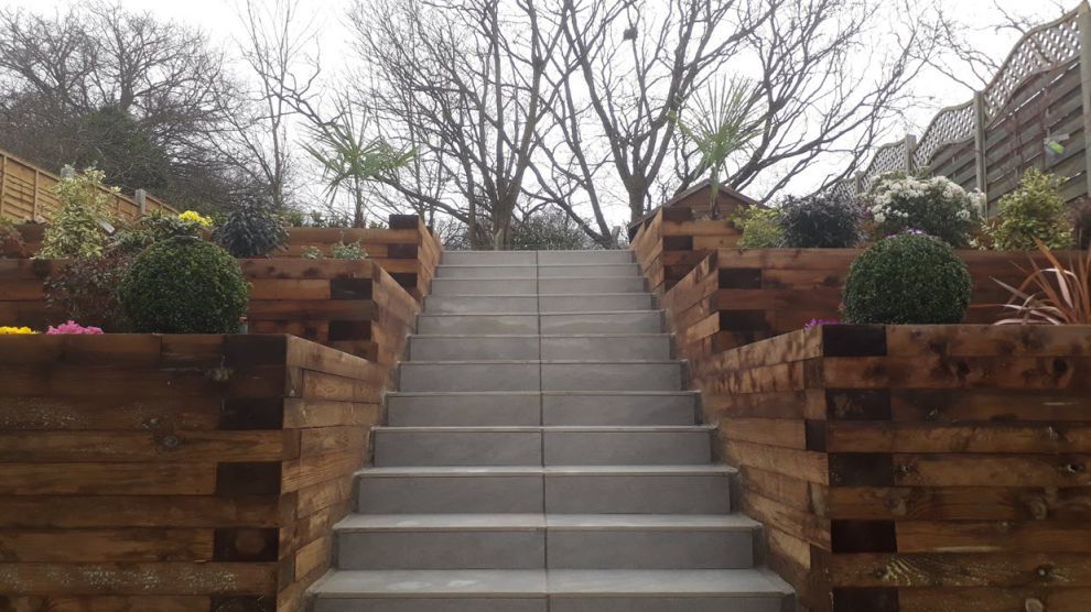 A set of stairs leading up to a tree in a garden.