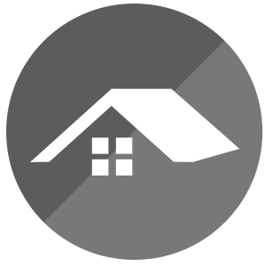 Professional roofing services