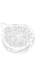 icona fichi